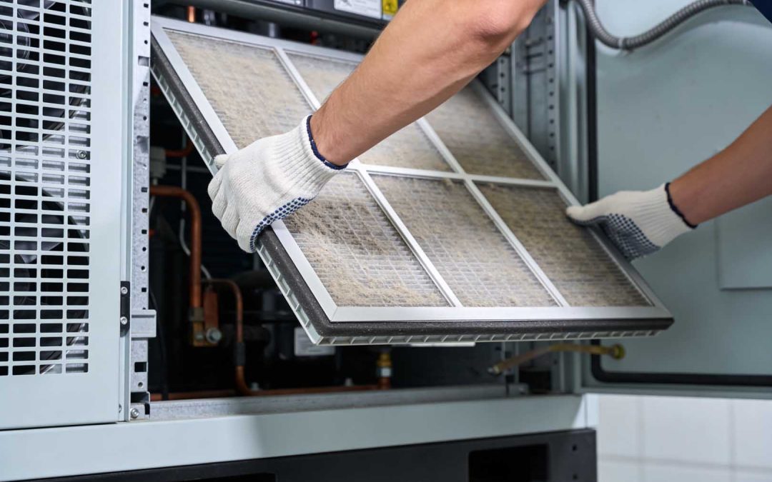 How Often Should You Change Your Air Filter?