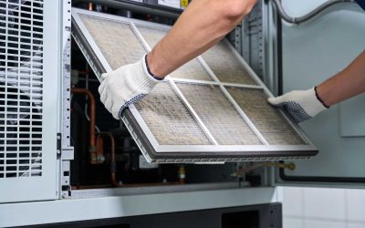 How Often Should You Change Your Air Filter?